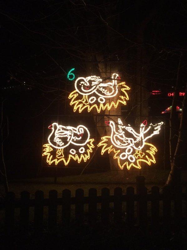 Six Geese A'Laying Six Geese A'Laying